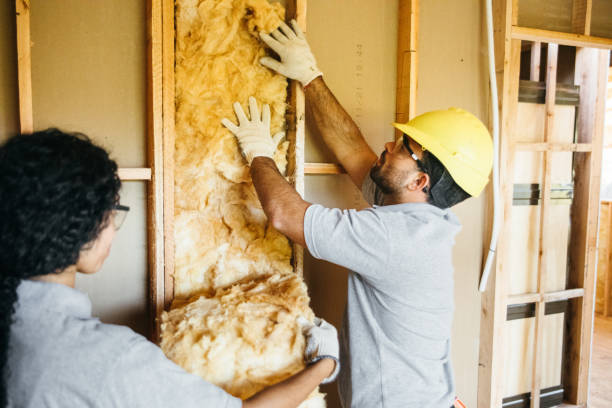  , USA Insulation Pros